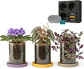 3-Pack 4 Inch Clear Glass Plant Pots with Drainage and Ceramic Trays, Indoor Herb Planters for Home Office, Succulents & Small Plants (Soft 3 Colors)