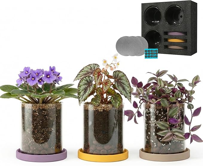 3-Pack 4 Inch Clear Glass Plant Pots with Drainage and Ceramic Trays, Indoor Herb Planters for Home Office, Succulents & Small Plants (Soft 3 Colors)