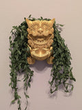 Wall Planter – Chinese Foo Lion Guardian Flower Pot, Hanging Dragon Dog Planter for Indoor & Outdoor Garden Decor, Unique Wall Art for Plants & Succulents (Gold, Larger 8" Height)