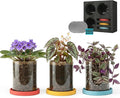 3-Pack 4 Inch Clear Glass Plant Pots with Drainage and Ceramic Trays, Indoor Herb Planters for Home Office, Succulents & Small Plants (Primary 3-Pack)