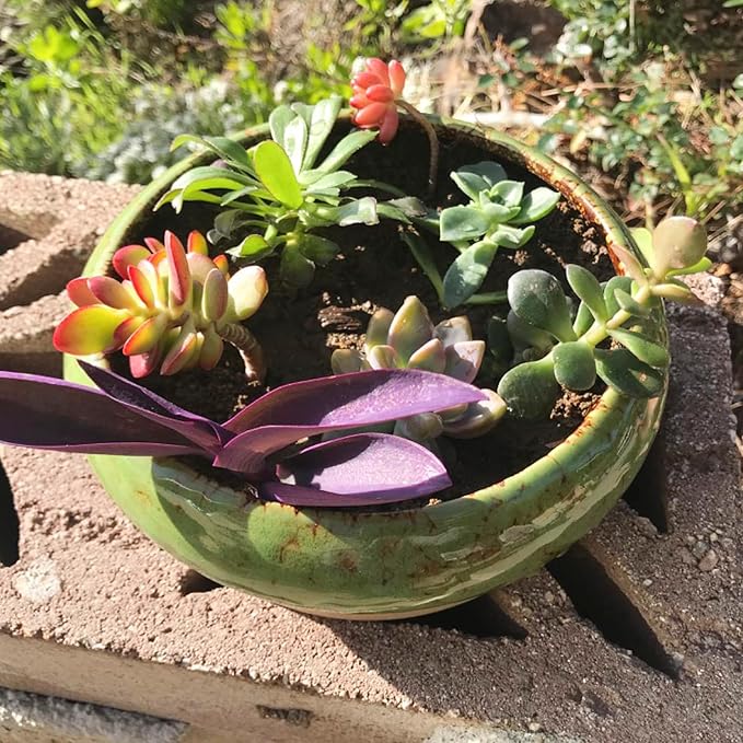Succulent Pots - 2 PCS Large Bonsai Pots With Drainage Tray, 7.3 Inch Shallow Planters for Indoor Plants Ceramic Cactus Plant Container Bowl for Home Office Desk