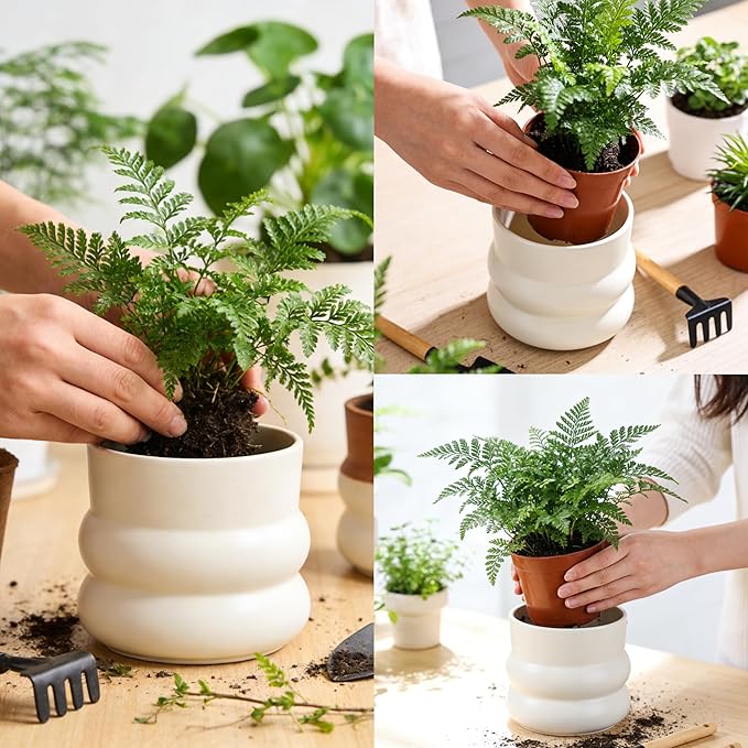 6 Inch Plant Pot,Ceramic Planter Pot with Drainage Hole,Indoor Planters for Herbs Plants,Ceramic Flower Pots for Indoor/Outdoor Plants,Home Office Garden Décor,Cream White