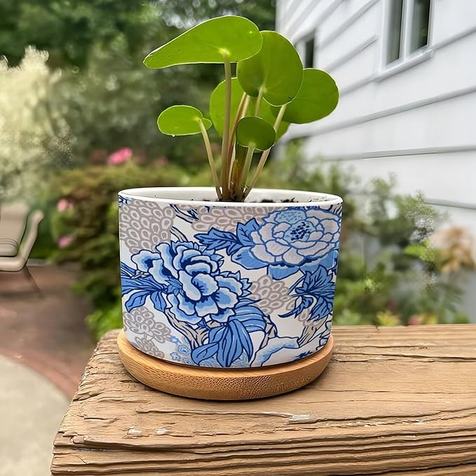 DreamAutumn Blue and White Chinoiserie Floral Planter Ceramic Round Plant Pots with Drainage Holes and Bamboo Tray Planting Small Flower Pots for Home Windowsill Desk Garden Indoor Outdoor Use