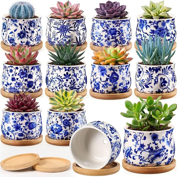 12 Pcs 3" Ceramic Chinoiserie Succulent Plant Pot Blue and White Porcelain Planter with Bamboo Tray Drainage Hole Mini Chinese Flower Jardiniere for Cactus Herbs Home Office Indoor Decor