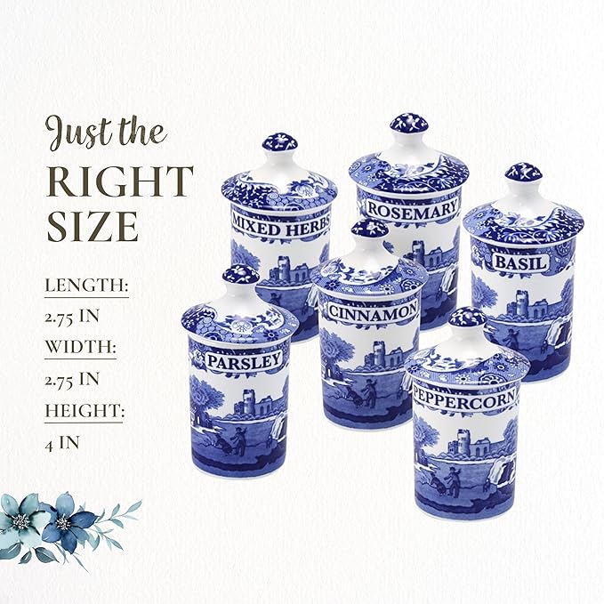 Spode 1389542 Blue Italian Spice Jar, Set of 6
