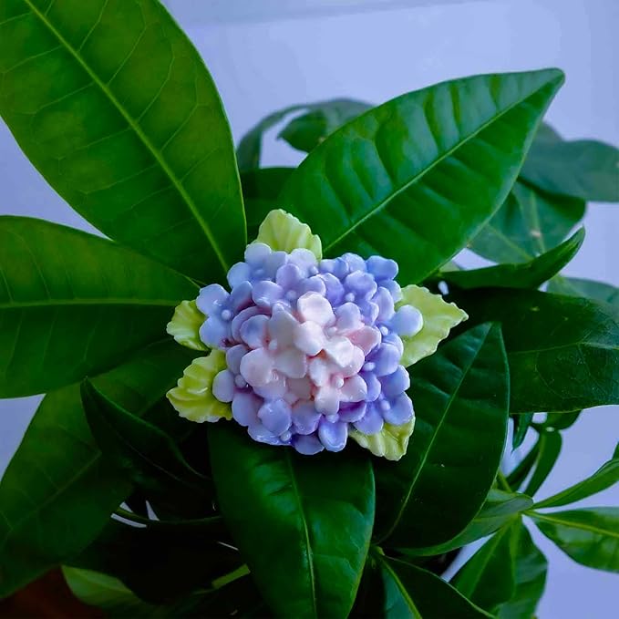 1 Pc Pink and Purple Hydrangea Magnet, Handmade 3D Ceramic Flower Refrigerator Magnet, Hydrangea Gifts for Housewarming