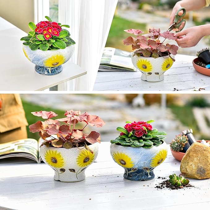 Sungmor Small Succulent Planters Set of 2, Beautiful Hand Crafted Ceramic Plant Pots Cute Cactus Pot, 6.5 Inch Flower Pots for Indoor Plants with Drainage, Desktop Windowsill Home Office Decor Pots