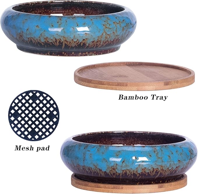 Succulent Pots, 7.3 Inch Succulent Planters with Drainage Pack of 2, Shallow Bonsai Pot with Tray Ceramic Pots for Indoor Plants Large Cactus Flower Plant Bowl