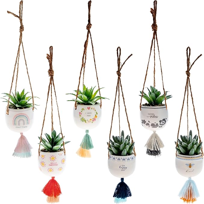 Karma Hanging Succulent Pot Choose Happy