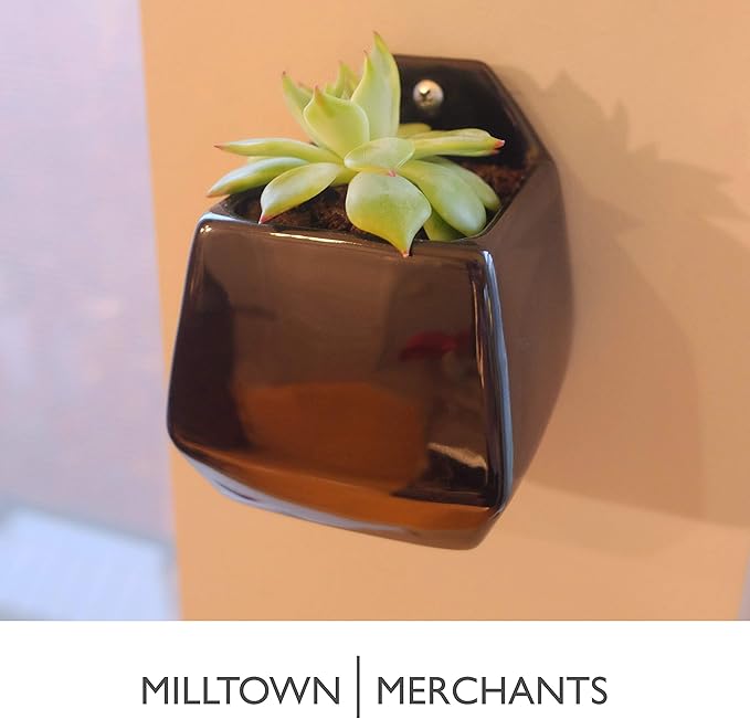 Milltown Merchants Succulent Wall Planters - Wall Vases - Black Ceramic Wall Mounted Planters - Succulent Plant Pots - Hanging Vases for Living Wall (2 Pack/Contemporary/Black)