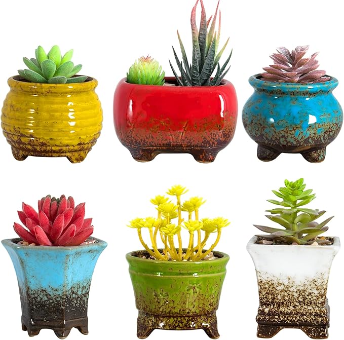ARTKETTY Succulent Pots - Small Succulent Plant Pots with Drainage Set of 6, Ceramic Cactus Planter Pots for Indoor Unique Flower Planter Container for Home Office Decor
