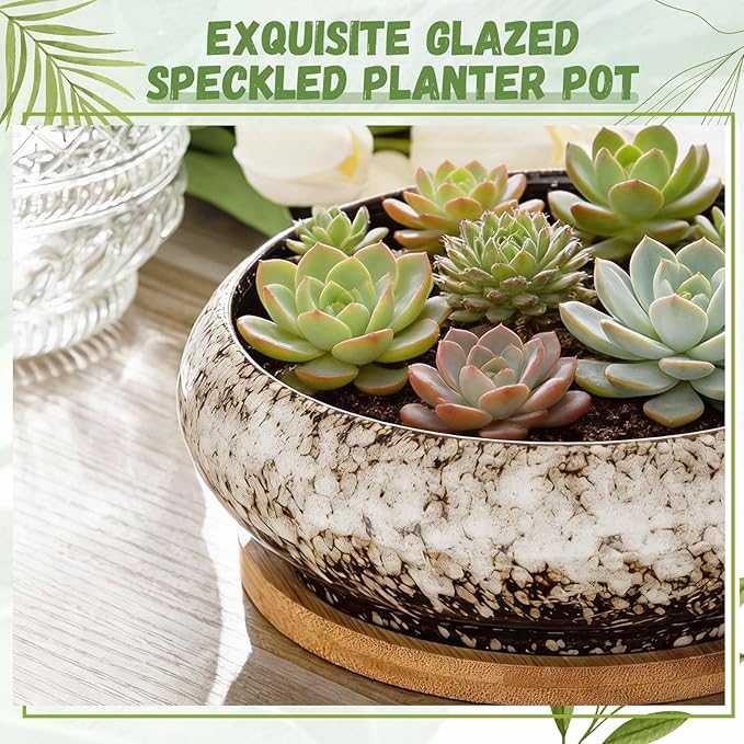 5 Pcs 7.3'' and 4'' Round Large Shallow Succulent Ceramic Planter Pots with Drainage Hole Drip Glazed Shallow Bonsai Pot with Bamboo Tray for Indoor Outdoor Plants Decor Cactus Flower