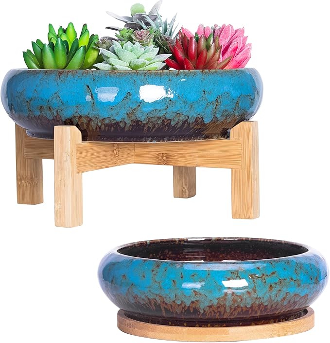 Succulent Pots - 7.3/10 Inch Large Plant Pot Set of 2, Ceramic Bonsai Pot with Drainage Tray Shallow Planters for Indoor Succulents Glazed Cactus Flower Plant Container
