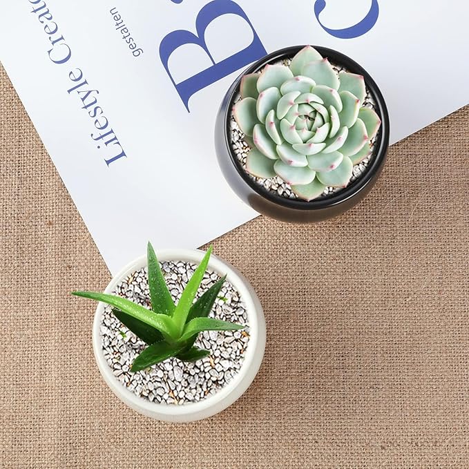 2 Pack Succulent Pots, 2.5 Inch Mini Ceramic Pots for Flower or Cactus Plants with Drainage Hole,Plants Not Included (Black)