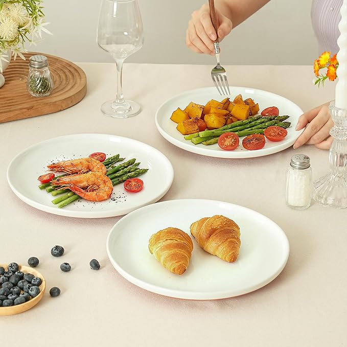 10.25-Inch Dinner Plates Set of 4, Dual Glaze Stoneware Plates, Microwave and Dishwasher Safe, Ceramic Plates for Everyday Dining, Stardust Glaze White