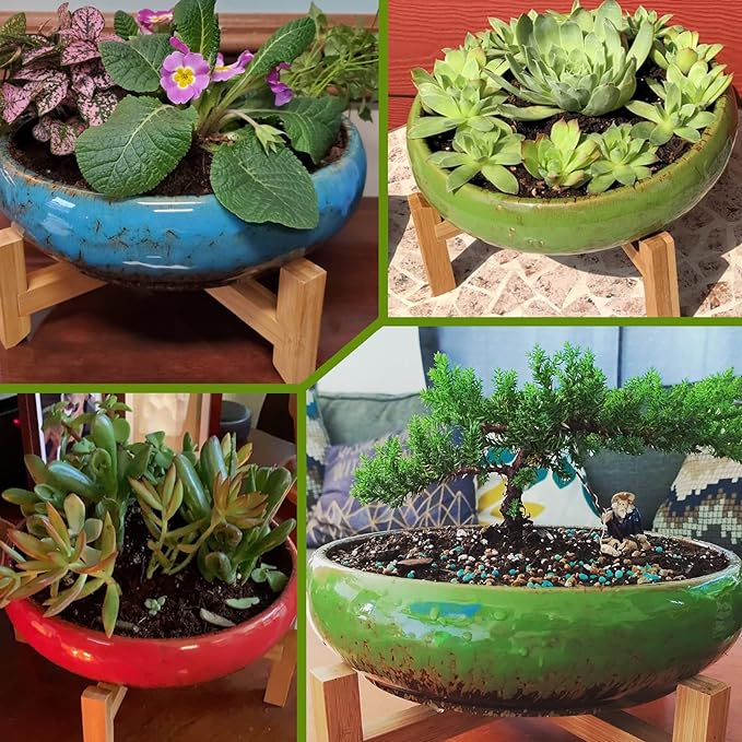 ARTKETTY Succulent Pots - 10 Inch Ceramic Bonsai Pots with Drainage Stand, Large Shallow Planters for Indoor Plants Decorative Garden Cactus Flower Plant Container Bowl
