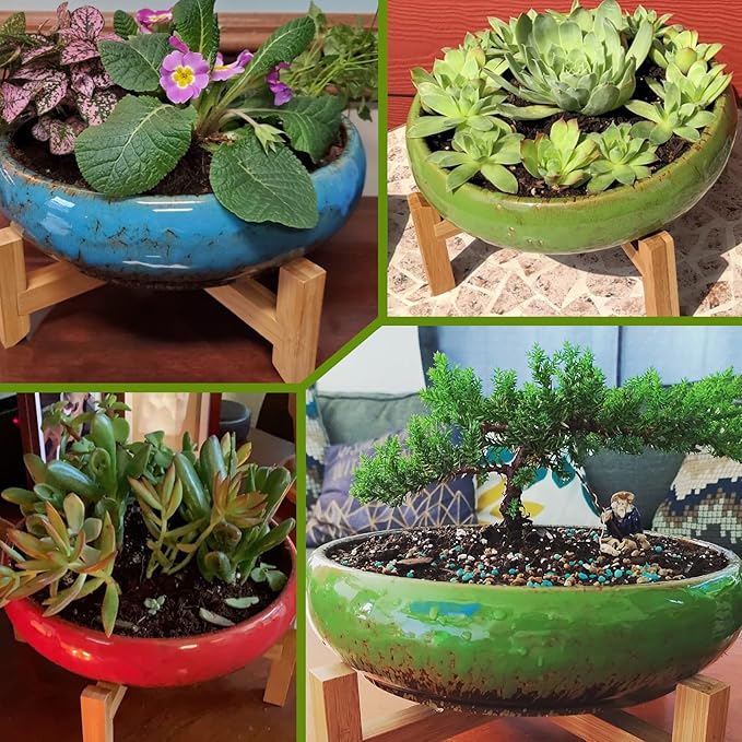 Succulent Pots - 7.3/10 Inch Large Plant Pot Set of 2, Ceramic Bonsai Pot with Drainage Tray Shallow Planters for Indoor Succulents Glazed Cactus Flower Plant Container