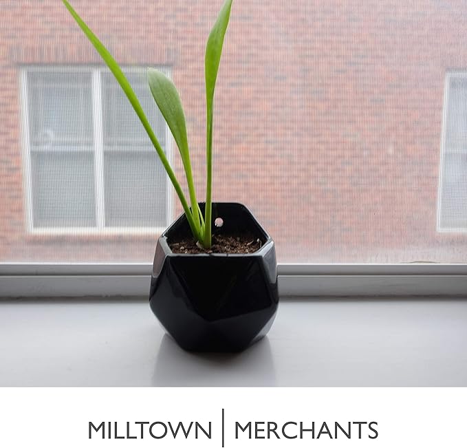 Milltown Merchants Succulent Wall Planters - Wall Vases - Black Ceramic Wall Mounted Planters - Succulent Plant Pots - Hanging Vases for Living Wall (2 Pack/Geometric/Black)