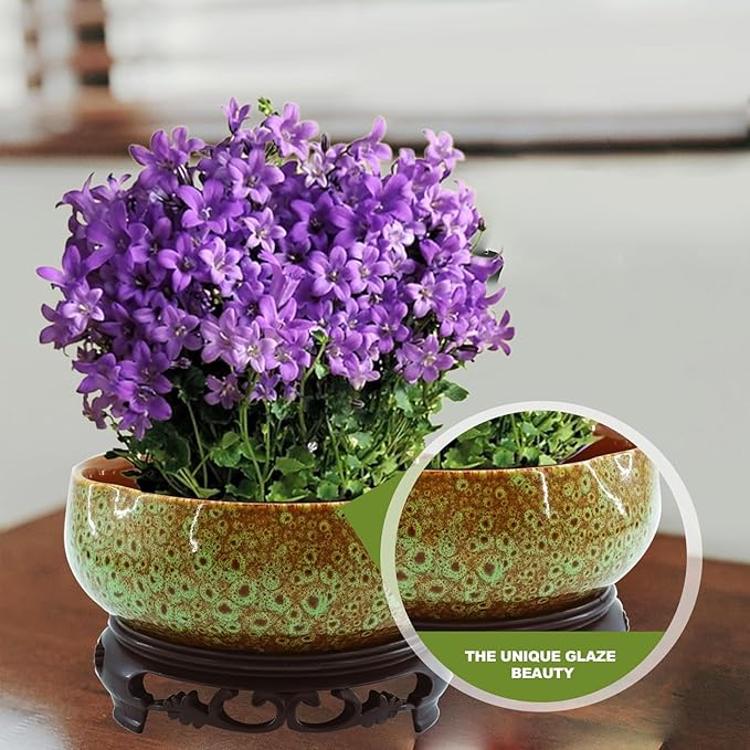 Lotus Bowl Planter，Decorative Ceramic Bowl Lotus for Water Plants with Black Stand, Green and Brown Glazed Finish