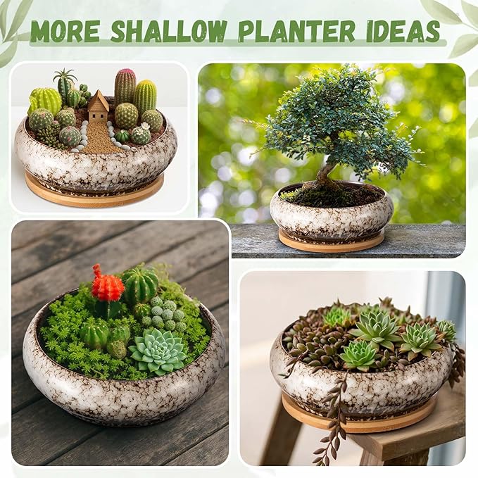5 Pcs 7.3'' and 4'' Round Large Shallow Succulent Ceramic Planter Pots with Drainage Hole Drip Glazed Shallow Bonsai Pot with Bamboo Tray for Indoor Outdoor Plants Decor Cactus Flower