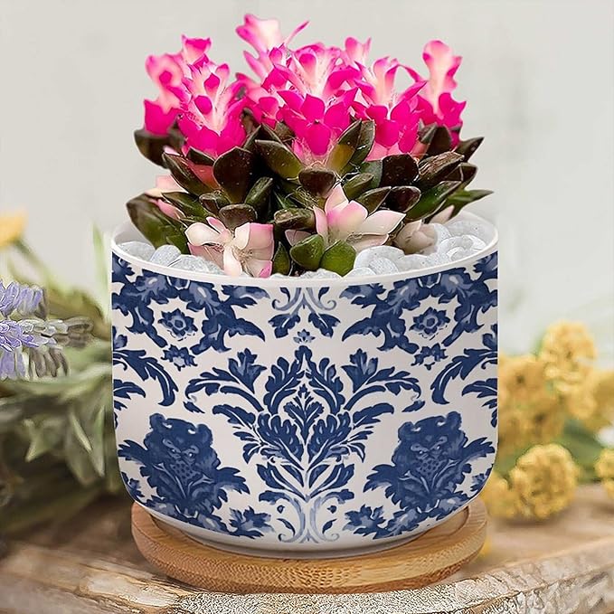 Blue Regalia Lion Ceramics Pots for Plants Set of 3 Indigo Blue Flower Lion Asian Succulents Plants Live with Pot with Drainage Bamboo Trays Chinoiserie Asian Small Ceramics Plant Pot