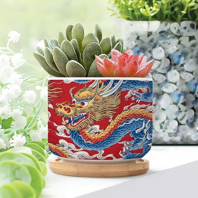 5 Piece Red and Auqa Dragon Small Succulents Plant Pot Oriental Chinoiserie Houseplant Pot for Cactus with Drainage Holes Chinoiserie Dragon Ceramics Planters for Indoor Plants