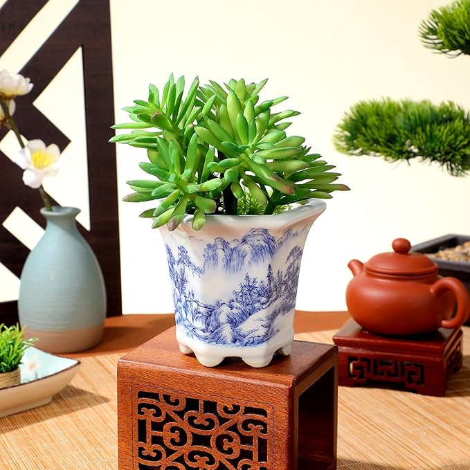 Blue and White Ceramic Succulent Planter Pot for Indoor Balcony with Oval Porcelain Bonsai Bowl, Small Asian Style Flower Pot for Cactus and Nursery Plants