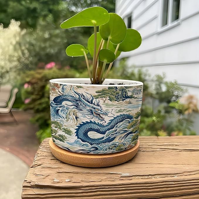 Trend Dragon Chinoiserie Asian Inspired Ceramic Planters With Saucers for Orchids, Succulents, Plants - Home Office Desk Garden Balcony New Home Decor