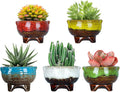 ARTKETTY Succulent Pots - 4 Inch Small Plant Pots with Drainage Pack of 5, Ceramic Pots for Indoor Plants Colorful Cactus Flower Planter Container