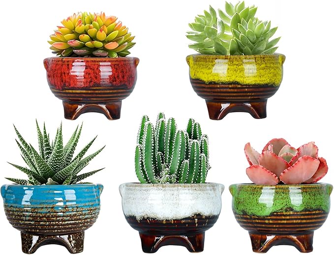 ARTKETTY Succulent Pots - 4 Inch Small Plant Pots with Drainage Pack of 5, Ceramic Pots for Indoor Plants Colorful Cactus Flower Planter Container