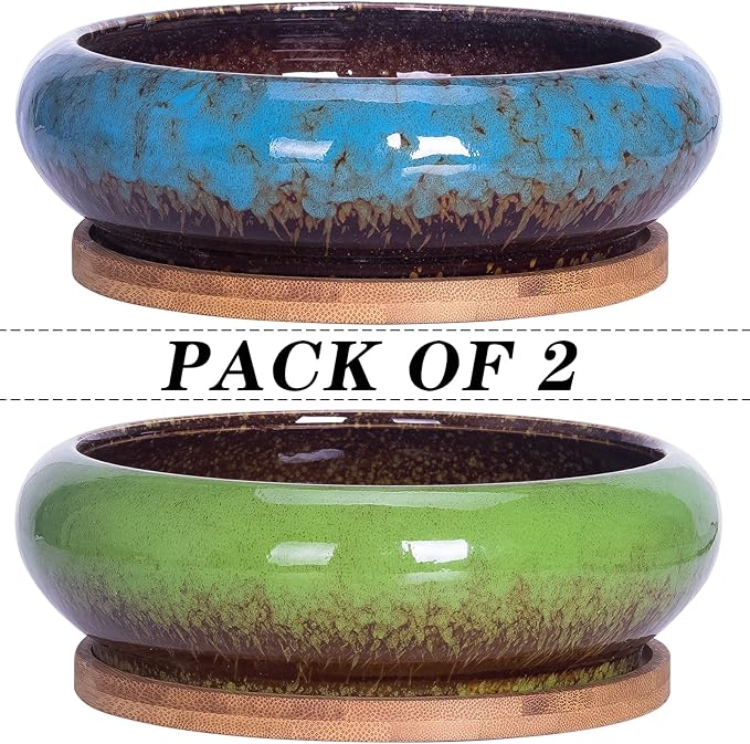 Succulent Pots, 7.3 Inch Succulent Planters with Drainage Pack of 2, Shallow Bonsai Pot with Tray Ceramic Pots for Indoor Plants Large Cactus Flower Plant Bowl