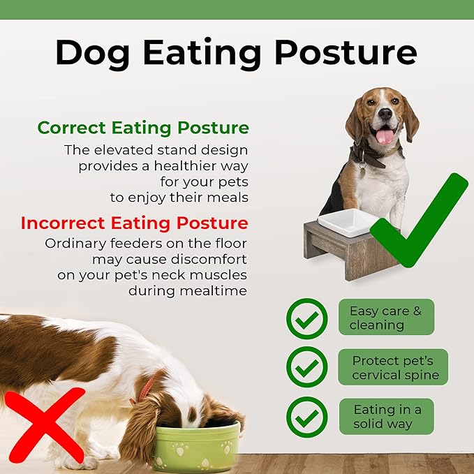 Bowsers Artisan Diner Single Dog Feeder - Handcrafted Rubberwood Frame with Square Ceramic Bowl Feeder for Dogs - Fossil, Small, 7” x 7” x 4”