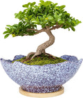 ARTKETTY Bonsai Pots - 9.06'' Ceramic Pots for Indoor Plants, Large Succulent Pots with Drainage Bamboo Tray, Unique Bonsai Tree Planters Round Cactus Flower Plant Container Bowl Home Office Decor