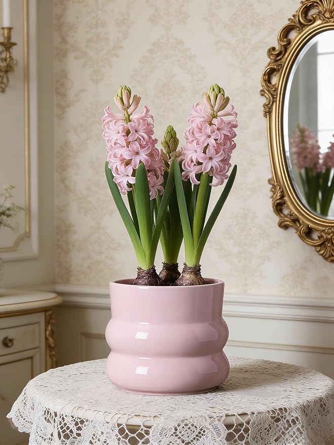 6 Inch Plant Pot,Ceramic Planter Pot with Drainage Hole,Indoor Planters for Herbs Plants,Ceramic Flower Pots for Indoor/Outdoor Plants,Home Office Garden Décor,Pink