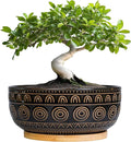 Ceramic Bonsai Pots - 8 Inch Plant Pot for Succulent, Round Planter for Indoor Plants, Shallow Planters with Drainage Hole and Tray, Boho Bonsai Bowl, Living Room Decor, Black
