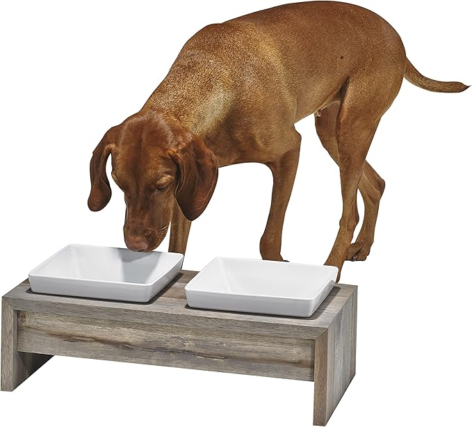 Bowsers Artisan Diner Double Dog Feeder - Handcrafted Rubberwood Frame with Square Ceramic Bowls Feeder for Dogs - Fossil, Extra Small, 12" x 6" x 2"