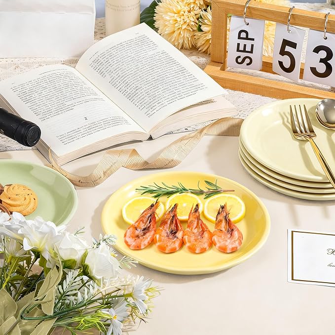 6 Inch Ceramic Appetizer Plates, Small Dinner Plates for Portion Control, Multi-Use for Desserts, Salads, Snacks, Microwave & Dishwasher Safe (4)