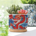 Set of 5 Chinoiserie Dragon Small Planters Ceramics Red and Auqa Dragon Ceramics Plant Pot with Drainage Bamboo Trays Japanese Asian Style Pots for Succulents Indoor