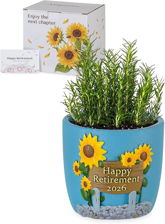 Retirement Gifts for Woman: Happy Retirement Gifts for Women Nurse Teacher Coworker - Unique Retired Garden Gifts for Decoration - Hand-Painted Plant Pot Present with Gift Box and Card