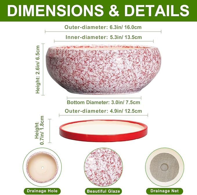 Bonsai Pots Small - 6 Inch Ceramic Succulent Pots with Drainage Hole and Ceramic Saucer, Succulent Planters Indoor Outdoor, Shallow Round Planter, Apartment Decor, Housewarming Gifts, Red