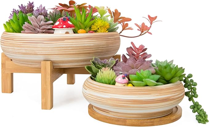 Succulent Pots - 7.3/10 Inch Large Plant Pot Ceramic Bonsai Planter with Drainage Tray, Shallow Planters for Succulents Cactus Flower Small Plants Birthday Gifts for Women