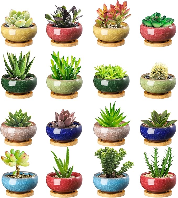 TOPZEA 16 Pack Mini Succulent Planter Pot, 2.5 Inch Ceramic Ice Crack Cactus Seed Starter Pots Micro Landscape Planter with Drainage Hole & Bamboo Tray for Moss Plant, Baby Succulent, Herb