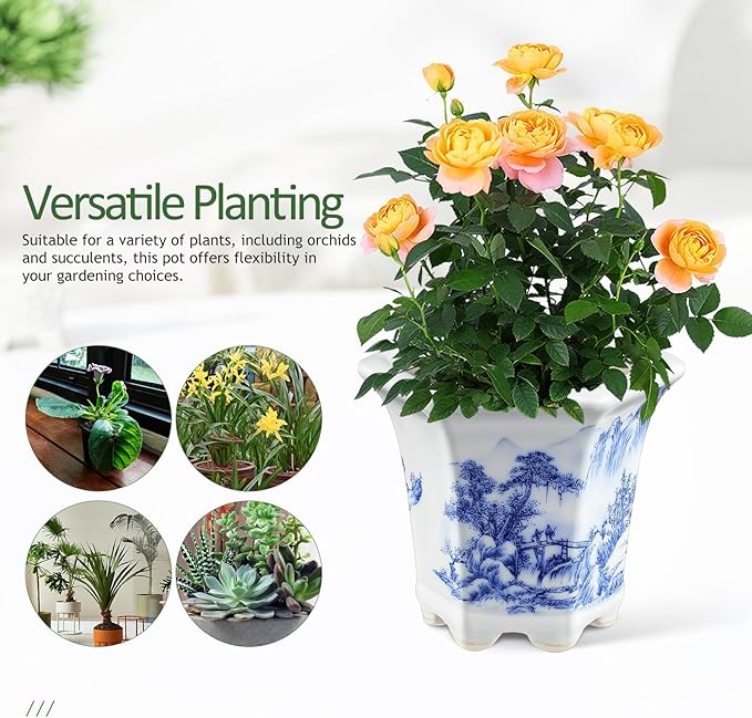 Blue and White Porcelain Plant Pot, Asian Ceramic Succulent Planter for Indoor Balcony, Oval Small Garden Planter with Decorative Floral Pattern
