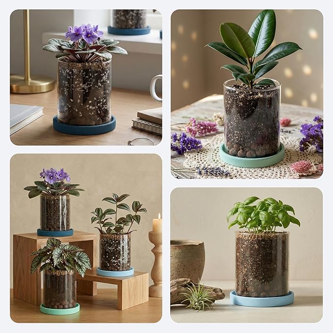 3-Pack 4 Inch Clear Glass Plant Pots with Drainage and Ceramic Trays, Indoor Herb Planters for Home Office, Succulents & Small Plants (Blue 3 Shades)