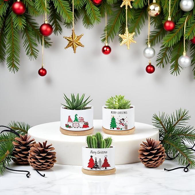 Ceramic Plant Pots,Funny Gifts for Women,for House Plants Garden Planters Succulent Pots, with Drainage Holes (White-Christmas)