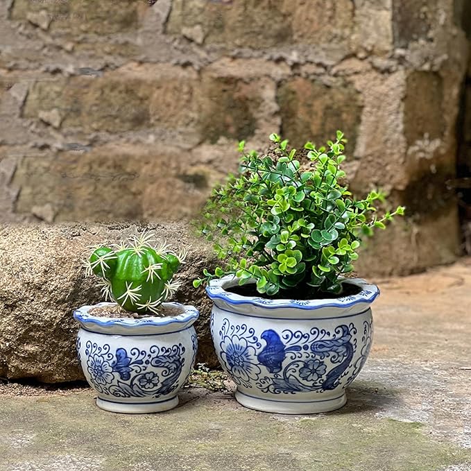 Blue and White Planters, Succulent Pots Ceramic Plant Pots Indoor with Drainage for Home Décor - Set of 3