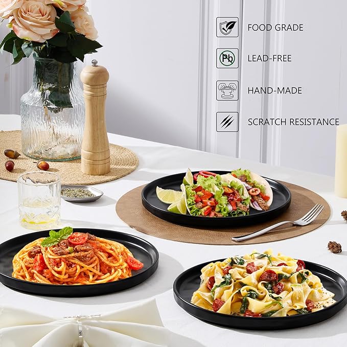 LIANYU 10.2 Inch Dessert Plates of 4, Kitchen Ceramic Dinner Plates Set, Dinnerware Serving Dishes Set, Dinnerware Salad Appetizer Plates for Microwave Dishwasher Oven, Chip Resistant, Obsidian Black