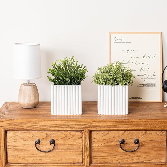 MyGift 6.3 Inch Square Vintage White Ceramic Succulent Planter Pot with Vertical Ribbed Design, Indoor Mini Flower Plant Pots, Set of 2