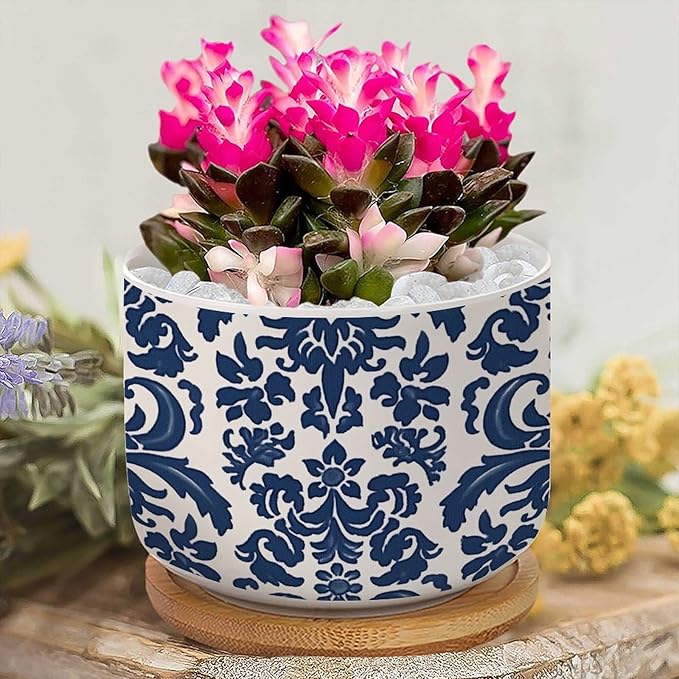 Blue Regalia Lion Ceramics Plant Pot Set of 1 Indigo Blue Flower Lion Asian Succulents Plants Live with Pot with Drainage Bamboo Trays Oriental Toile Chinoiserie Small Ceramics Planter