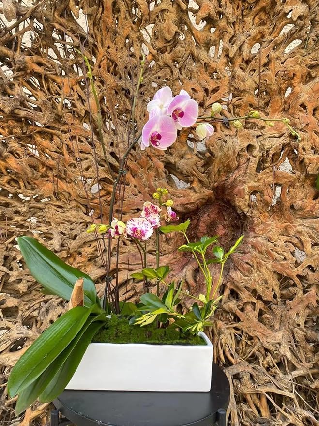 WGVI Long Rectangle Ceramic Planter Vase in White 12" x 4" x 4"H, Block Rectangular Terrarium Box Pot, Flower Arrangement, Table top Centerpiece, Home Decor Organization Storage Container, 6 Pcs.